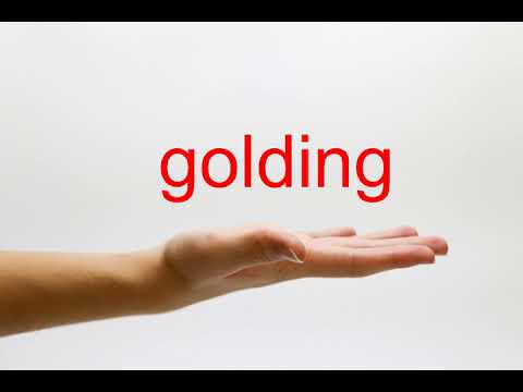 How to Pronounce golding - American English