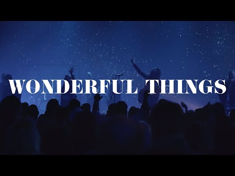 Thumbnail for Wonderful Things video