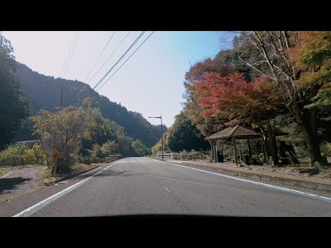 [Cidade de Tobe/Cidade de Uchiko] Rota Nacional 379 (excluindo a seção sobreposta das Rotas Nacionais 33 e 440)/Uma das melhores estradas montanhosas super-rápidas na província de Ehime com bom alinhamento e apenas três semáforos durante os 40 km, que tem foi melhorado ao longo de [Velocidade dupla] 2023.11.3)
