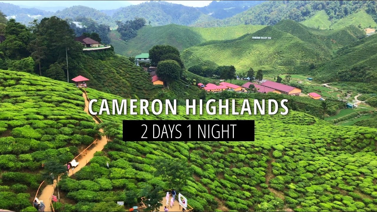 2 Days 1 Night at Cameron Highlands | 10 Things to do at Cameron Highlands