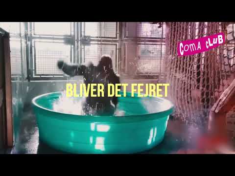 Coma Club 2018 / 2# Promo