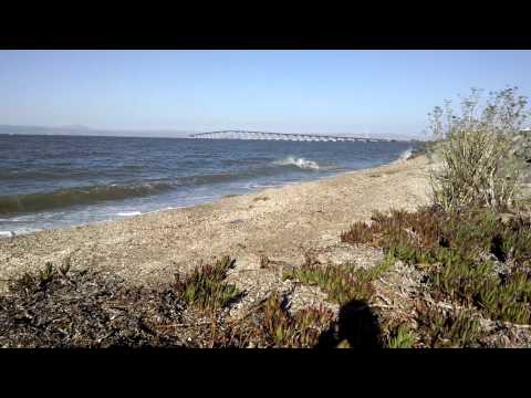 Beach Day with Minka