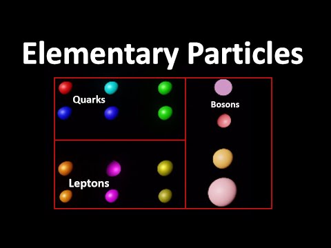 Elementary particles | leptons | Quarks and Leptons | What is Quarks