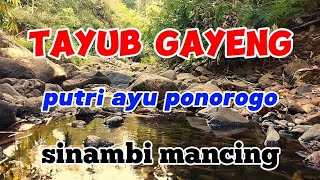 Download lagu Tayub gayeng putri ayu ponorogo mantep tenan mp3