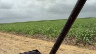 preview picture of video 'Dune Buggy Ride Through Cane Field, La Romana, Dominican Republic'