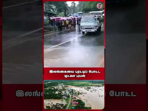 இலங்கையை புரட்டிப் போட்ட டிட்வா புயல்: உயிரிழப்பு எண்ணிக்கை 85-ஆக உயர்வு!