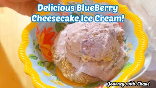 BLUEBERRY CHEESECAKE ICE CREAM WITH GRAHAM CRACKER CRUMBLES! OH MY GOODNESS! DELICIOUS SUMMER TREAT