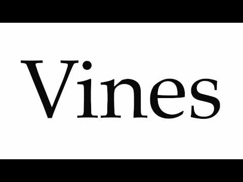 How to Pronounce Vines