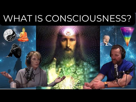 What is consciousness?