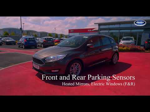 171 Ford Focus Style