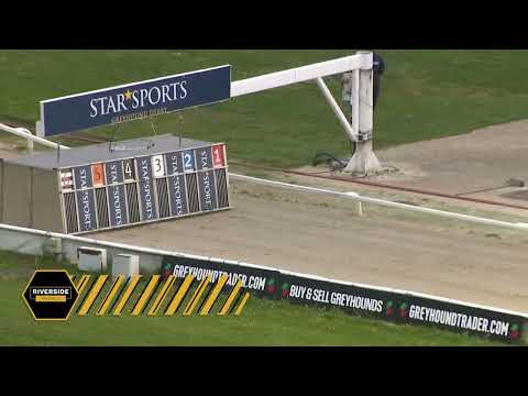 Romeo Magico - Star Sports & TRC English Greyhound Derby 2022 - Second Round