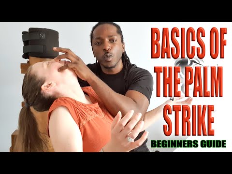 HOW TO PALM STRIKE - Beginners guide