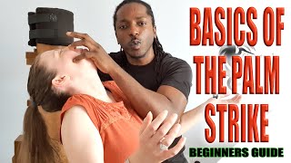 HOW TO PALM STRIKE - Beginners guide