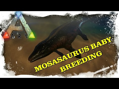ARK SURVIVAL EVOLVED - MOSASAURUS BABY  [OCEAN BREEDING MOD] | AQUATIC MATING | [DEUTSCH/GERMAN]