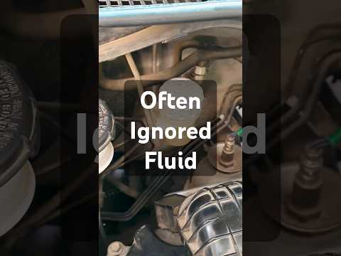 Clutch fluid is brake fluid - change it every 2-3 years