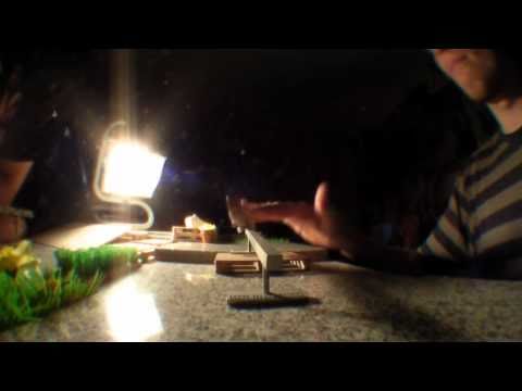 the melody of a fallen tree