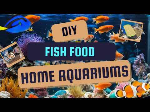 DIY Fish & Coral Food Recipe | Easy & Affordable Homemade Aquarium Feed