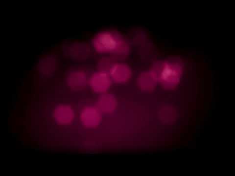 Easy Worship Background - Bokeh Blur 4/9