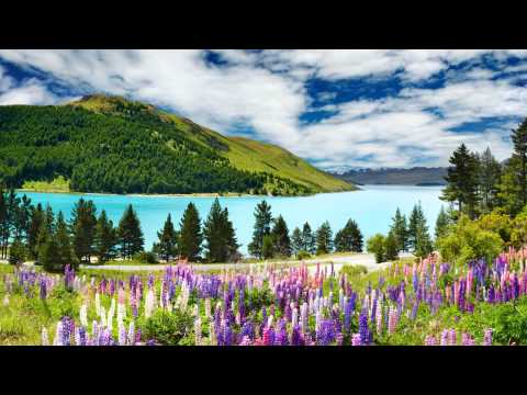 # 192 - *Whisper* Meadow Sleep Relaxation