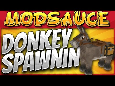Minecraft Mods - HermitCraft MODSAUCE {EP.35} Auto Spawning DONKEY