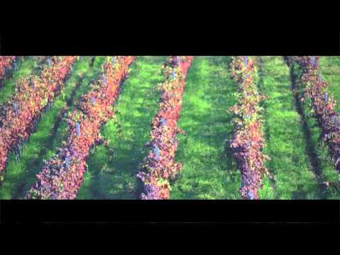 Cantina Casale Li Monaci