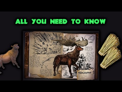 MEGALOCEROS Full Guide! (Thatch Deer)
