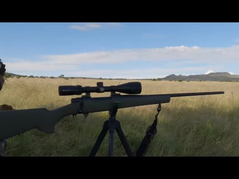 7MM Remington Magnum Shot Compilation On African Plains Game