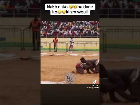 Niang ballo nakh nako 😂