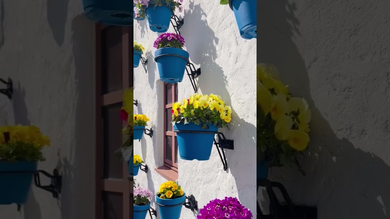 スペインのロマンチックな街並みを再現したサンタクルス通り💐カラフルな花々に彩られた白壁の街並みは、まるで美しい絵本の世界のようです📕