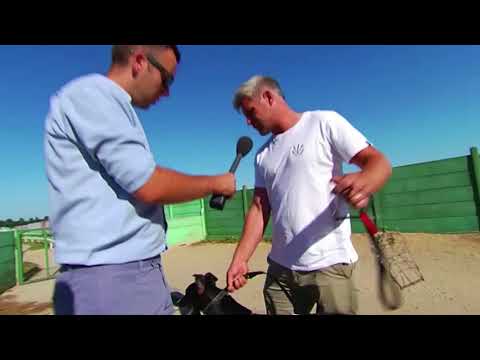 BRINKLEYS POET - SELECT STAKES WARM UP