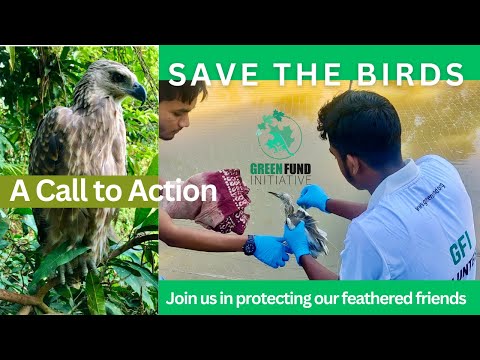 Save Innocent Birds Trapped in Deadly Nets