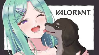 【VALORANT】顔洗って歯磨いて弾を撃つ【ぶいすぽ/八雲べに】