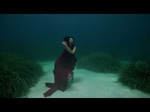 The Swimming Diaries Trailer (2024)