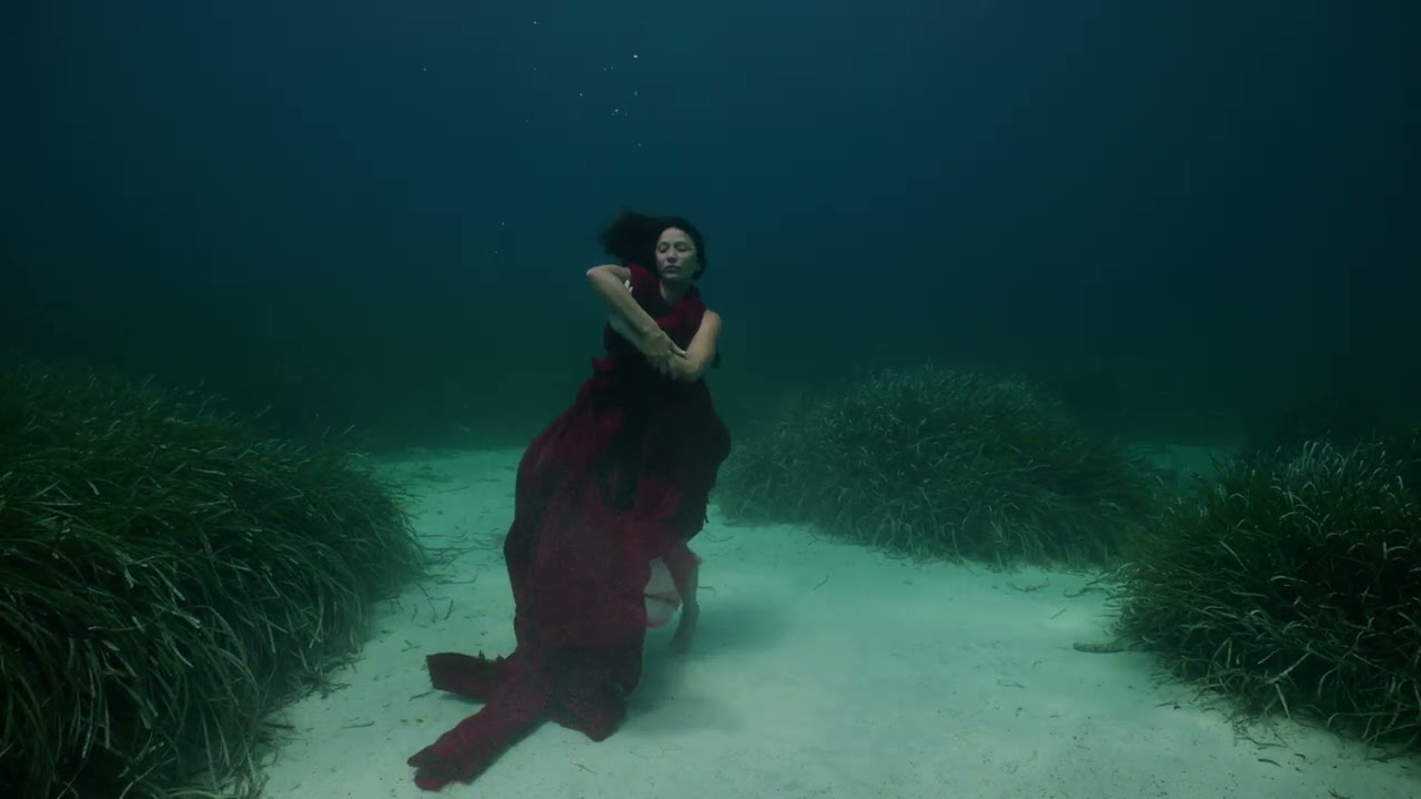 The Swimming Diaries Trailer (2024)