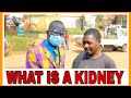 WHAT IS A KIDNEY Teacher Mpamire On The Street Latest Comedy African Comedy 2020