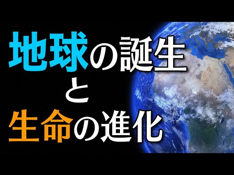 海底の蹄跡:研究者らが「神秘的な生命の痕跡」を発見