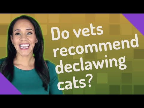 Do vets recommend declawing cats?