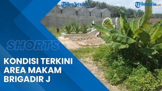 Pemuda Batak Bersatu Rencana akan Bersihkan Area Makam Brigadir J, Dikelilingi Rumput Cukup Tinggi