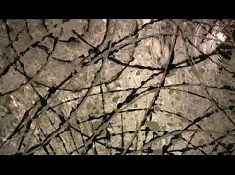 download lagu mp3 mp4 Asher Bilu, download lagu Asher Bilu gratis, unduh video klip Asher Bilu