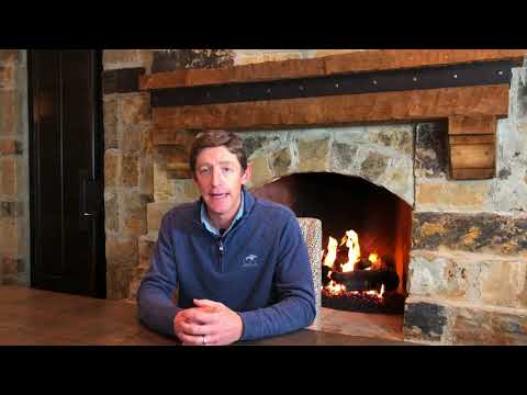 Horse teeth floating | Healthy horse teeth