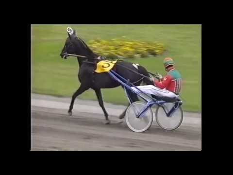 1066 Steen Juul - Rudolf Le Ann - Derby 1993