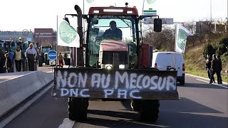 La UE mantendrá conversaciones cruciales antes del acuerdo de Mercosur