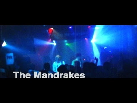 THE MANDRAKES Promo Video
