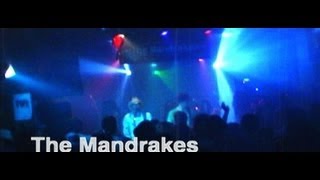 THE MANDRAKES Promo Video