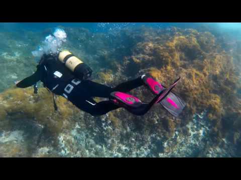 DSD  Portocolom Skualo Diving  - Majorca
