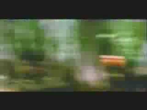 Tribute for Mihai Viteazu