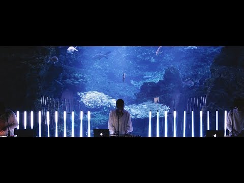 Sawa Angstrom “Ripple mark” (Official Music Video)