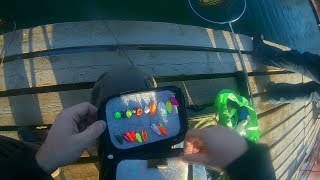 Рыбалка савельево 2 пирогово как проехать