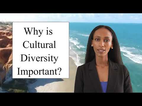 Why is Cultural Diversity Important in today's world?