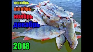 Рыбалка в магнитогорске кто где рыбачили